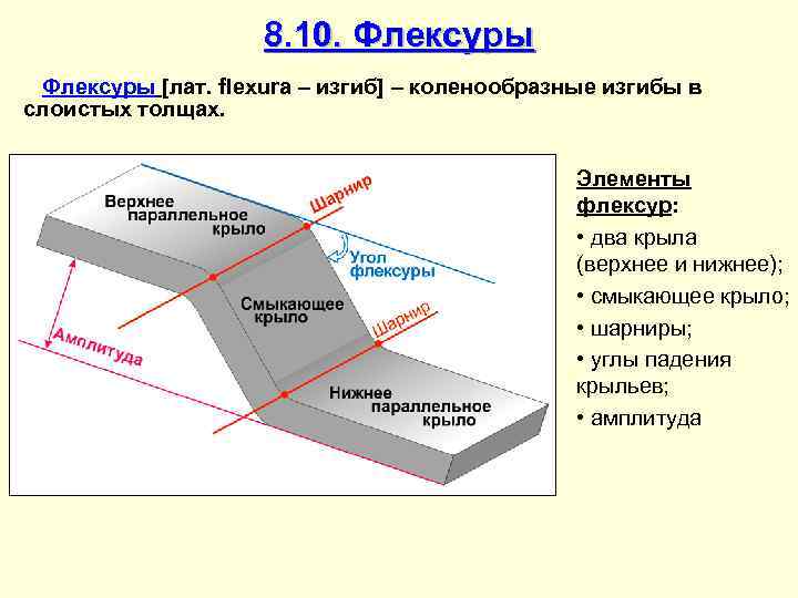 Толщ. Флексура. Флексура Коленообразный изгиб. Угол падения крыльев.