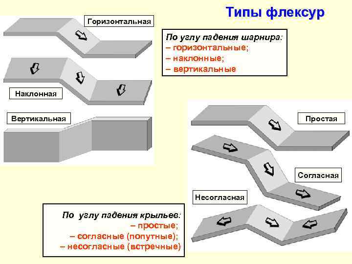      Типы флексур   Горизонтальная    