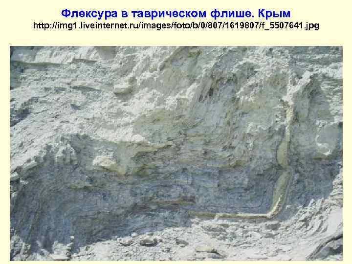  Флексура в таврическом флише. Крым http: //img 1. liveinternet. ru/images/foto/b/0/807/1619807/f_5507641. jpg 