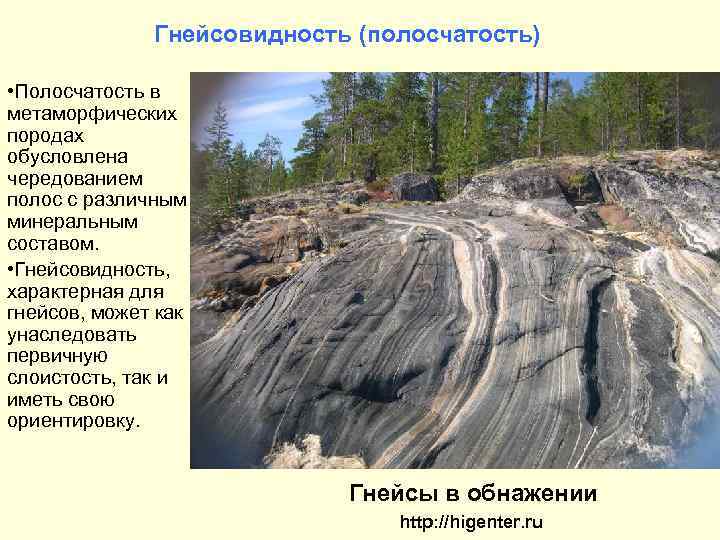 Гнейсовидность (полосчатость) • Полосчатость в метаморфических породах обусловлена чередованием полос с различным минеральным составом.