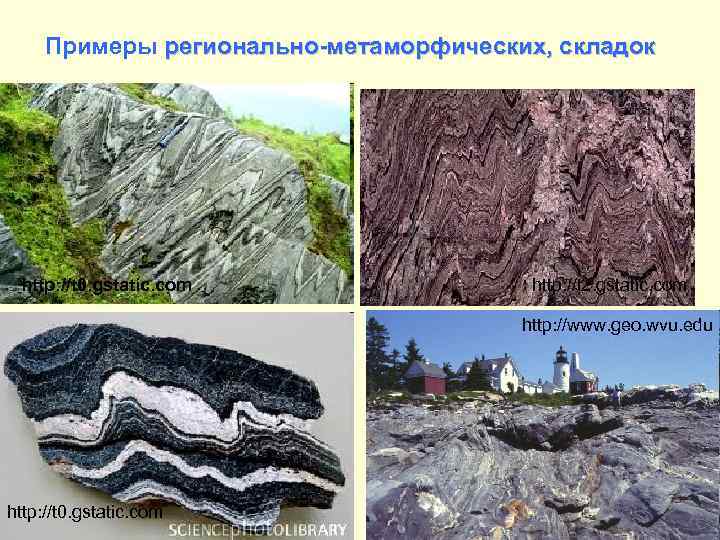 Примеры регионально-метаморфических, складок http: //t 0. gstatic. com http: //t 2. gstatic. com http: