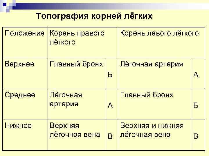    Топография корней лёгких Положение Корень правого  Корень левого лёгкого Верхнее