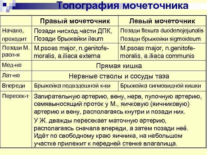    Топография мочеточника   Правый мочеточник  Левый мочеточник Начало, Позади