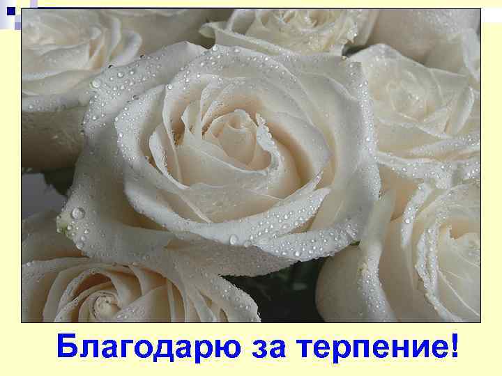 Благодарю за терпение! 