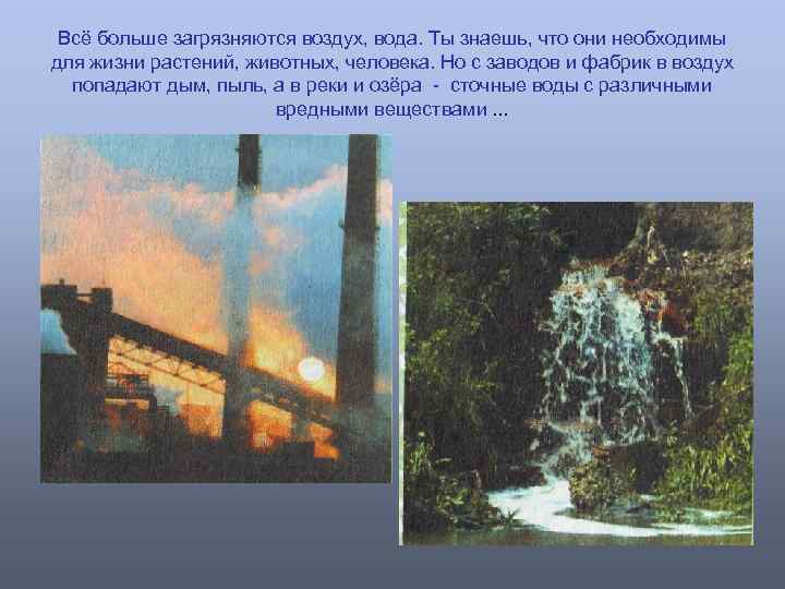 Всё больше загрязняются воздух, вода. Ты знаешь, что они необходимы для жизни растений,