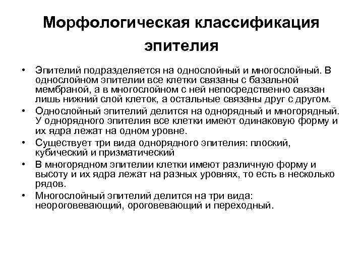   Морфологическая классификация    эпителия • Эпителий подразделяется на однослойный и