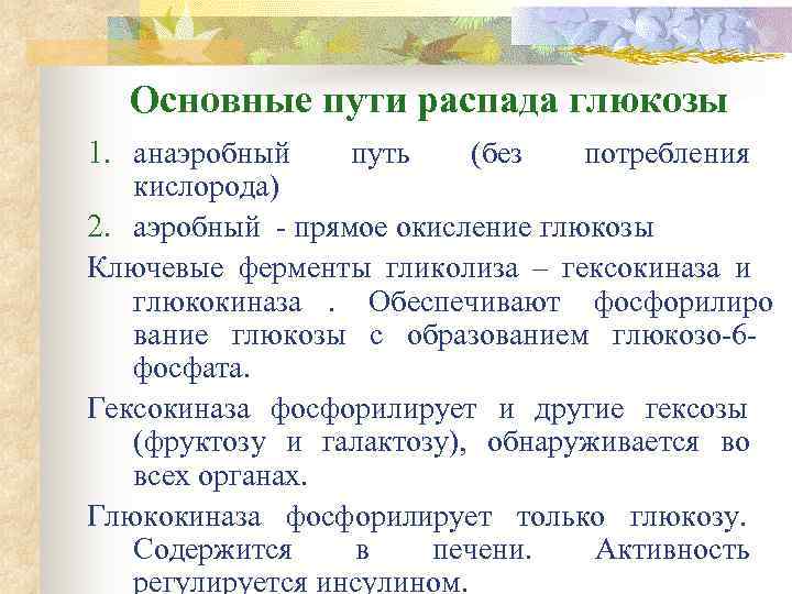  Основные пути распада глюкозы 1. анаэробный  путь  (без  потребления 