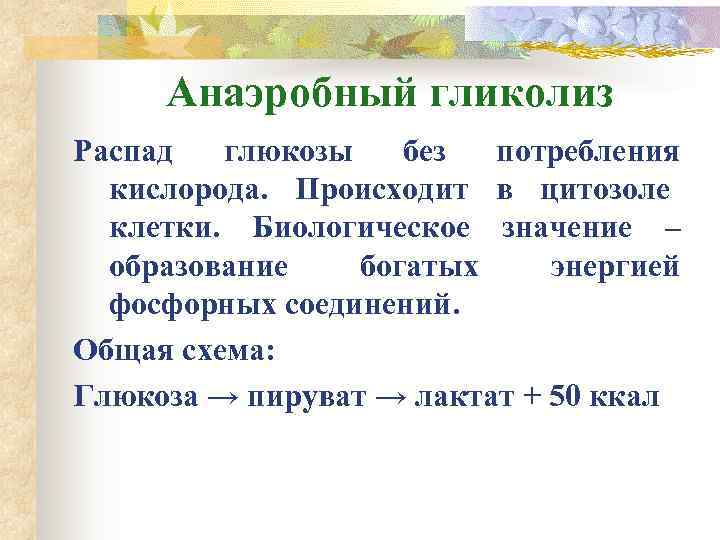  Анаэробный гликолиз Распад  глюкозы  без потребления  кислорода. Происходит в цитозоле