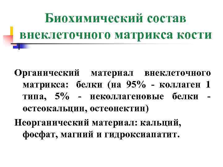   Биохимический состав внеклеточного матрикса кости Органический материал внеклеточного матрикса: белки (на 95%