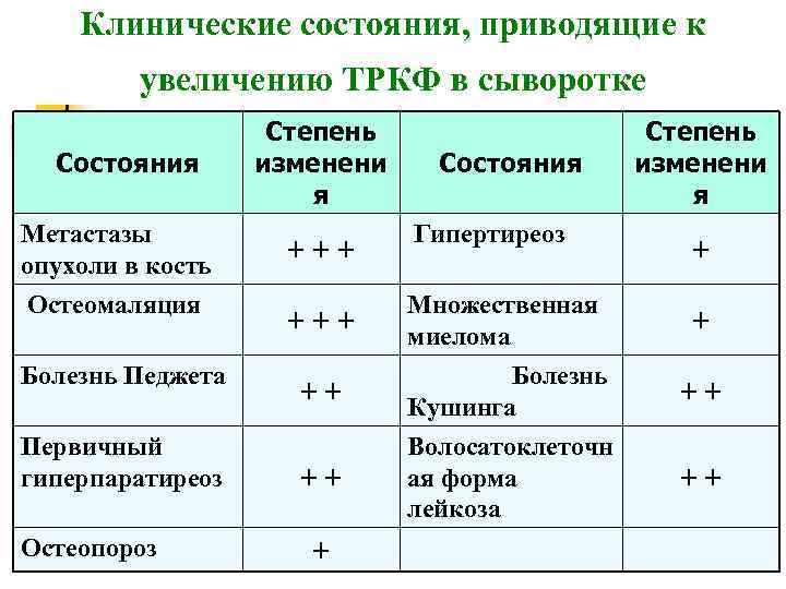 Векторные изображения чувствительны к увеличению