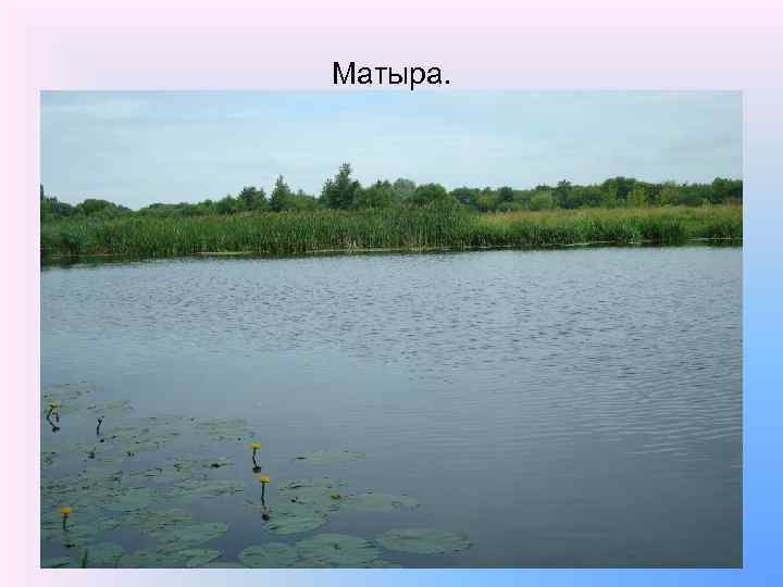 Матыра. 