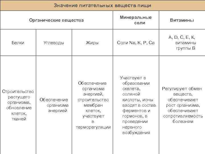 Основные виды питательных веществ и их значение в питании человека презентация