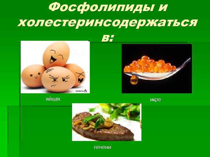   Фосфолипиды и холестеринсодержаться  в:  яйцах   икре  