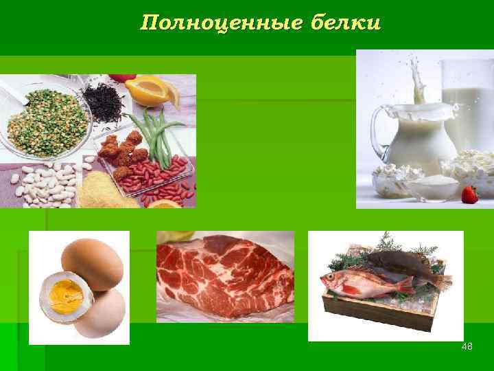 Полноценные белки     48 