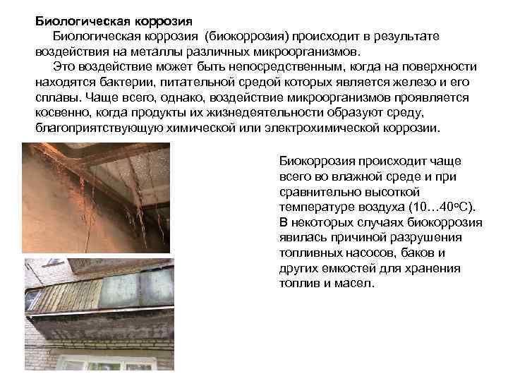 Биологическая коррозия (биокоррозия) происходит в результате воздействия на металлы различных микроорганизмов. Это воздействие может