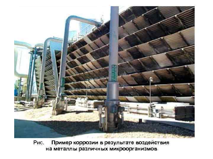 Рис. Пример коррозии в результате воздействия на металлы различных микроорганизмов 