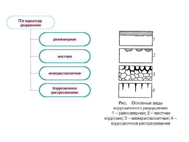 По характеру разрушения равномерная местная межкристаллитная Коррозионное растрескивание Рис. Основные виды коррозионного разрушения: 1