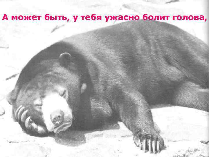 А может быть, у тебя ужасно болит голова, 