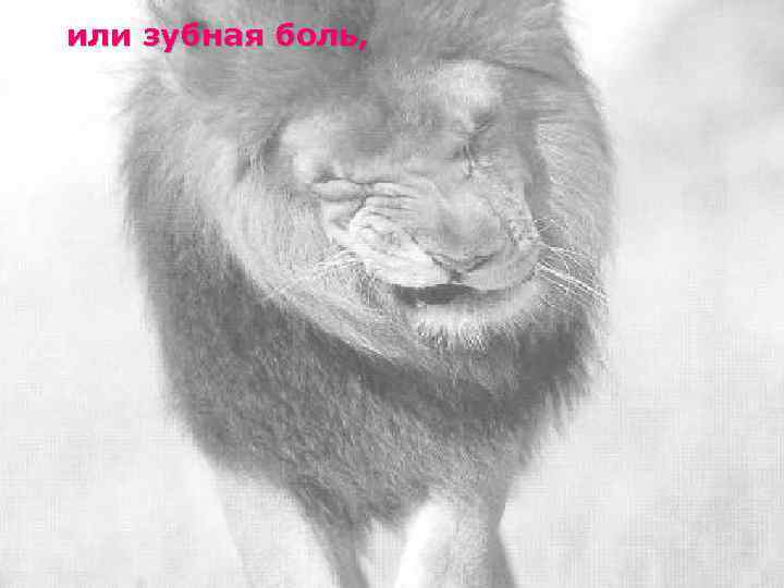 или зубная боль, 