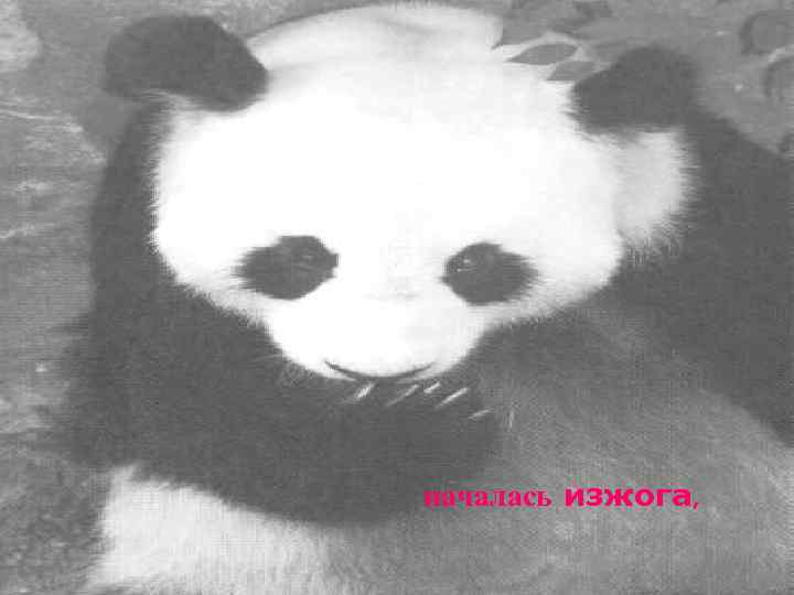 началась изжога, 