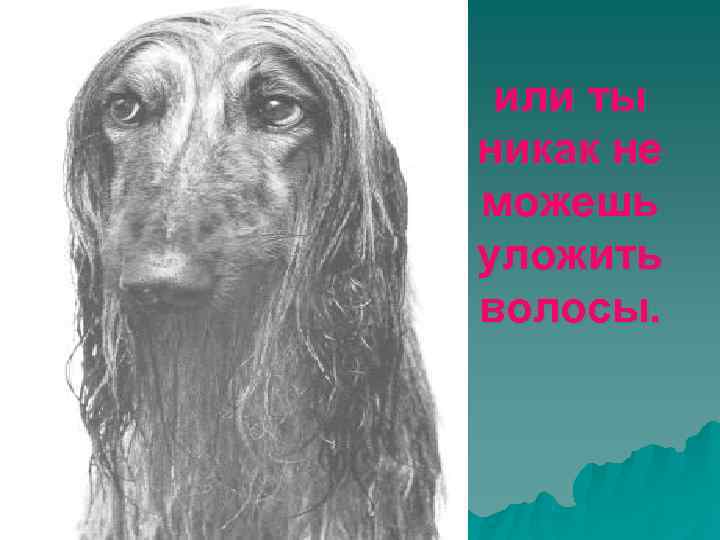  или ты никак не можешь уложить волосы. 