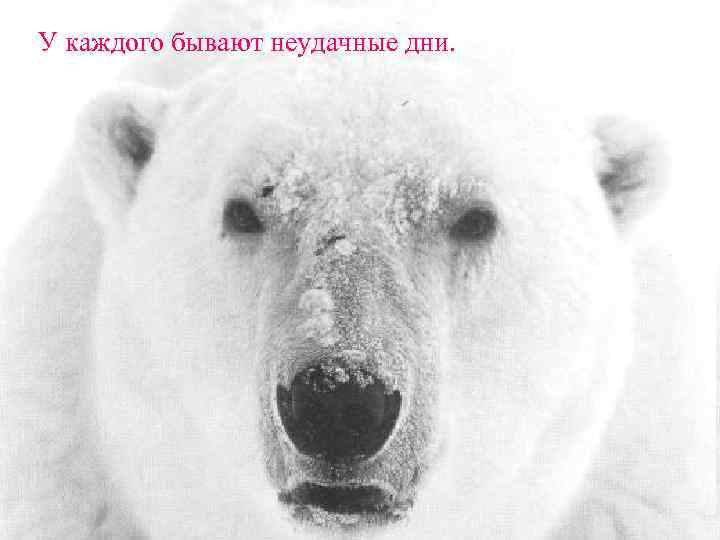 У каждого бывают неудачные дни. 