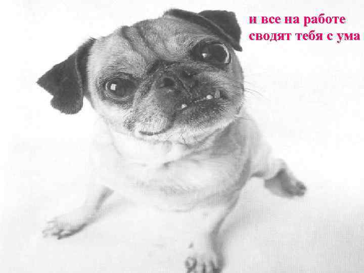 и все на работе сводят тебя с ума   . 