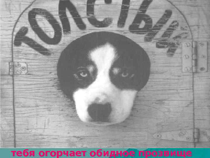 тебя огорчает обидное прозвище 