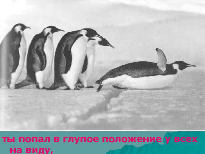 ты попал в глупое положение у всех на виду, 