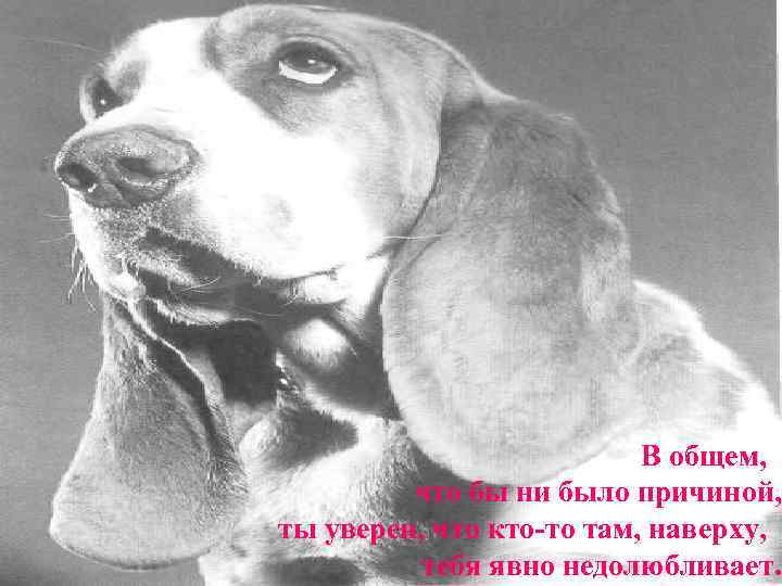      В общем,  что бы ни было причиной, ты