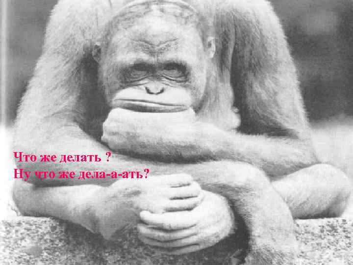     u Что же делать ? Ну что же дела-а-ать? 