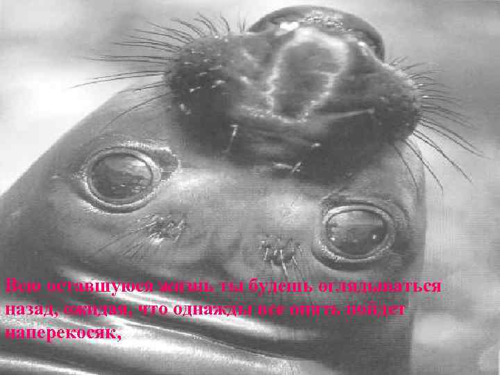 Всю оставшуюся жизнь ты будешь оглядываться назад, ожидая, что однажды все опять пойдет наперекосяк,