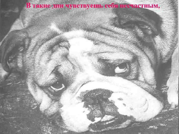 В такие дни чувствуешь себя несчастным,  