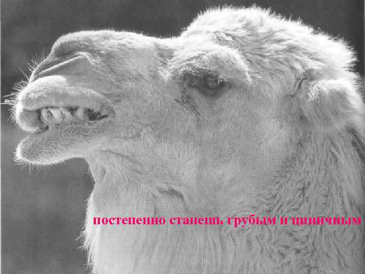 постепенно станешь грубым и циничным 