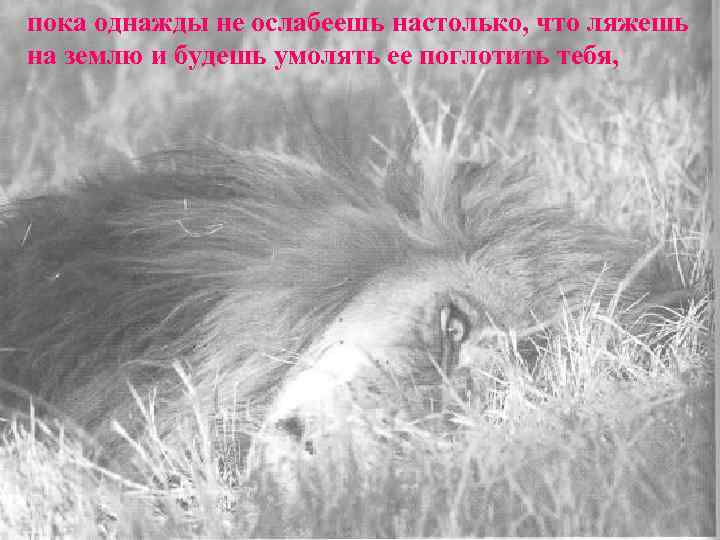 пока однажды не ослабеешь настолько, что ляжешь на землю и будешь умолять ее поглотить