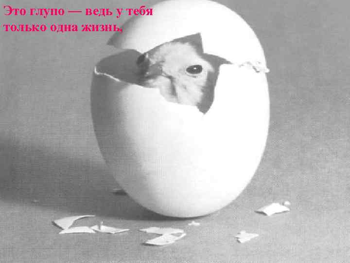 Это глупо — ведь у тебя только одна жизнь, 