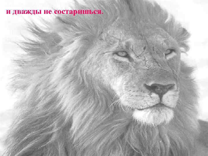 и дважды не состаришься. 