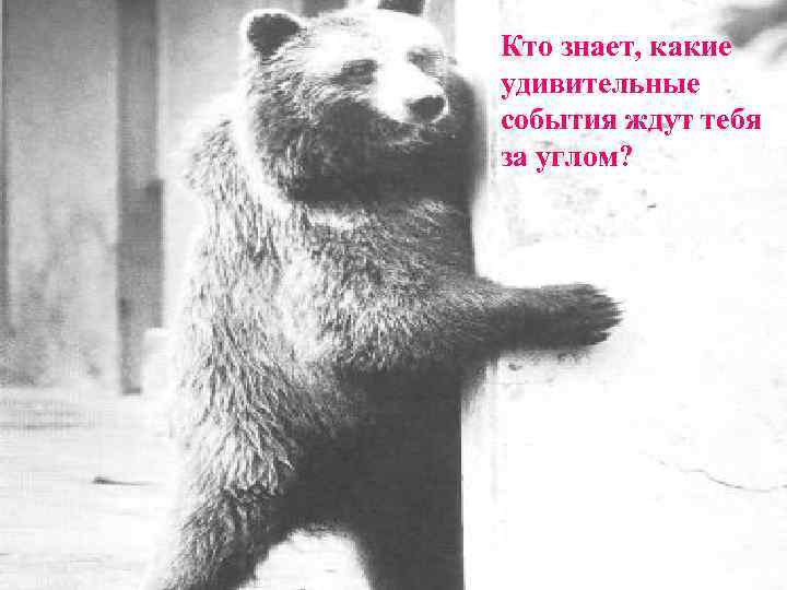 Кто знает, какие удивительные события ждут тебя за углом? 