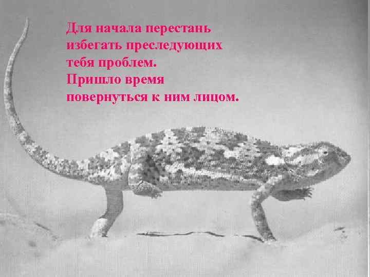 Для начала перестань избегать преследующих тебя проблем.  Пришло время повернуться к ним лицом.