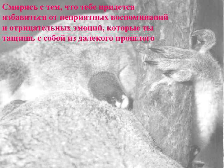 Смирись с тем, что тебе придется избавиться от неприятных воспоминаний и отрицательных эмоций, которые