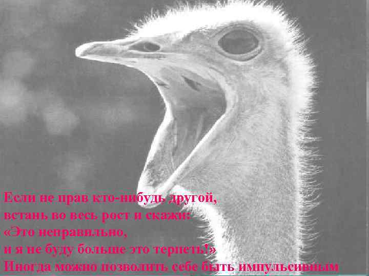 Если не прав кто-нибудь другой,  встань во весь рост и скажи:  «Это
