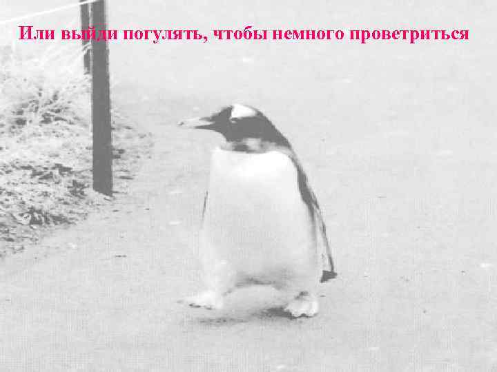 Или выйди погулять, чтобы немного проветриться 