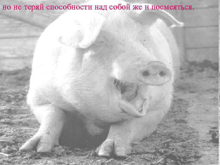 но не теряй способности над собой же и посмеяться. 