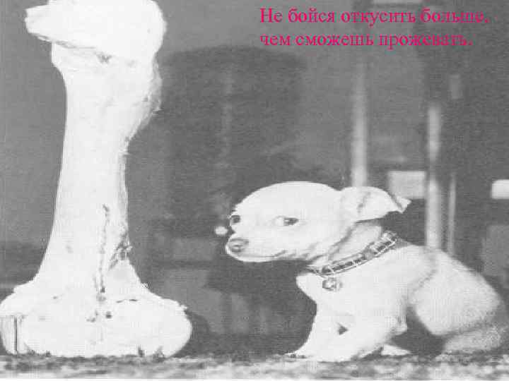 He бойся откусить больше, чем сможешь прожевать. 