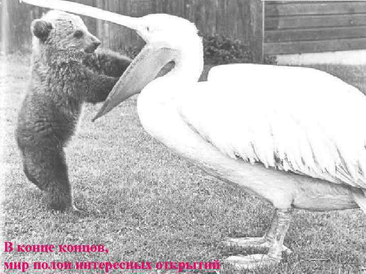В конце концов,  мир полон интересных открытий 