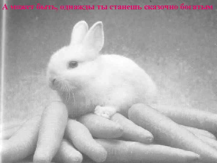 А может быть, однажды ты станешь сказочно богатым 