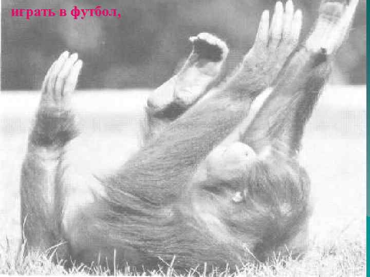 играть в футбол, 