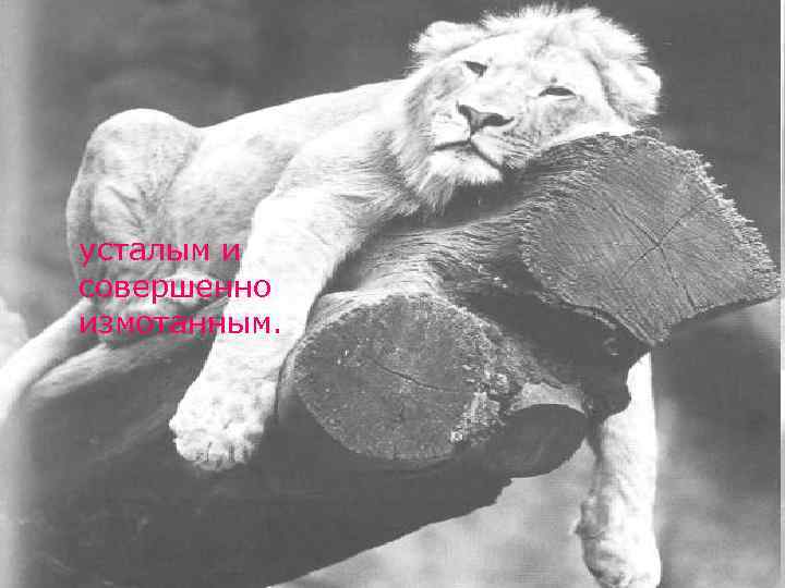 усталым и совершенно измотанным. 