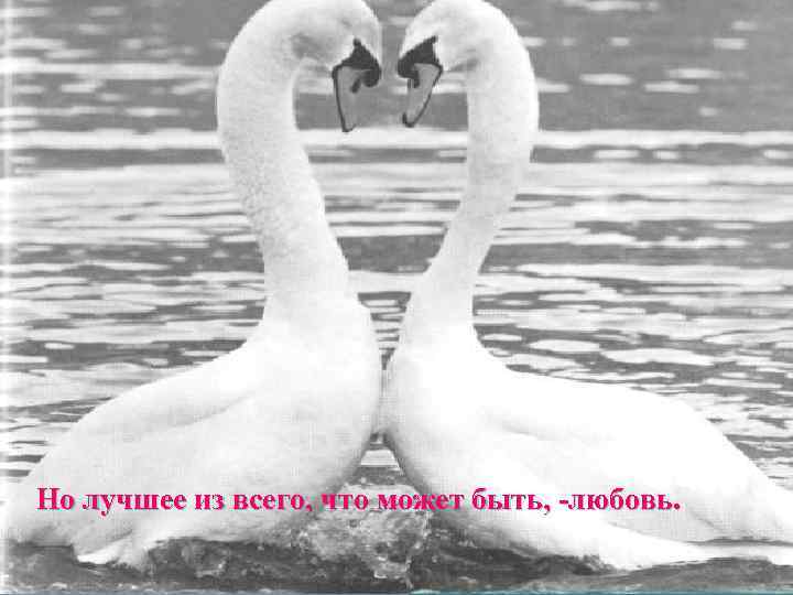 Но лучшее из всего, что может быть, -любовь. 