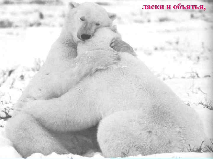 ласки и объятья, 